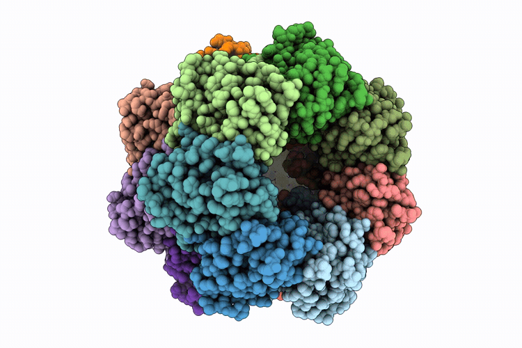9UXT image