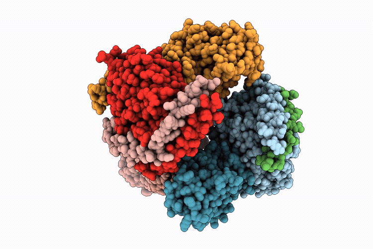 9UXU image
