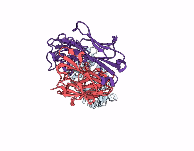 9UZH image