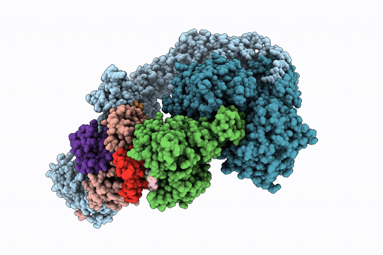 9V0E image