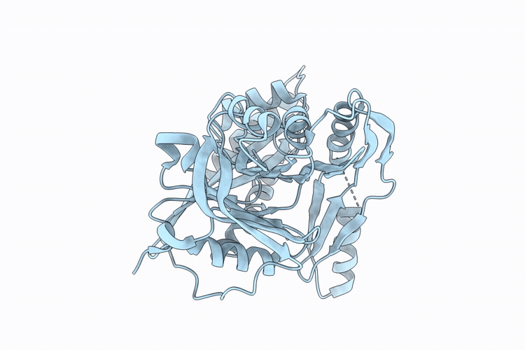 9V0M image