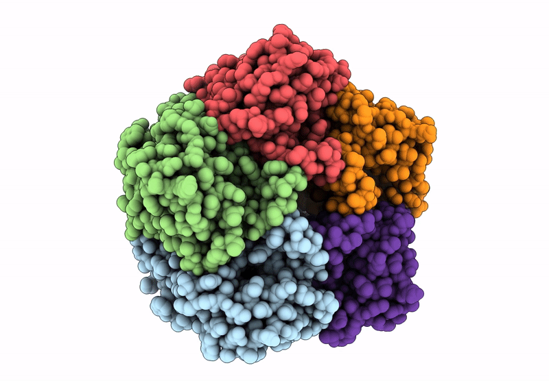 9V2A image
