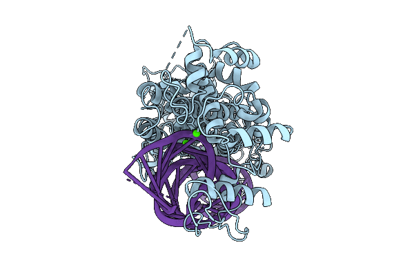 9V42 image