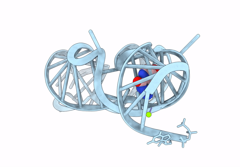 9V4V image