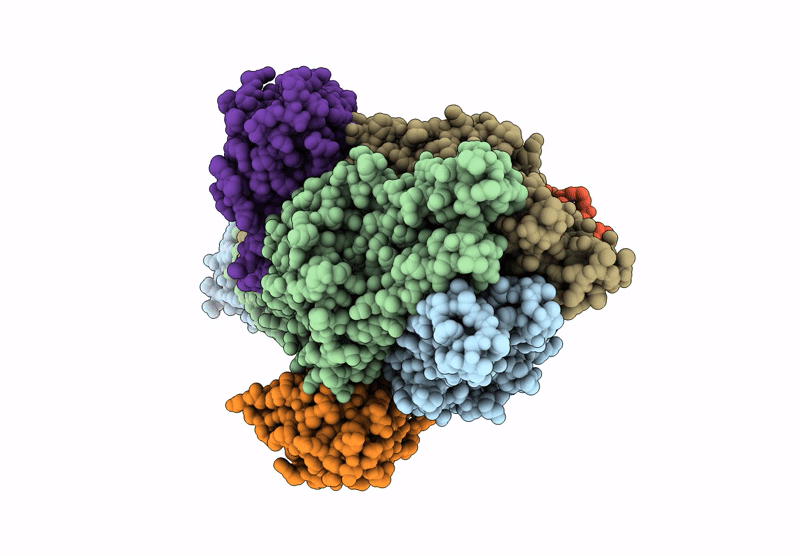 9V52 image