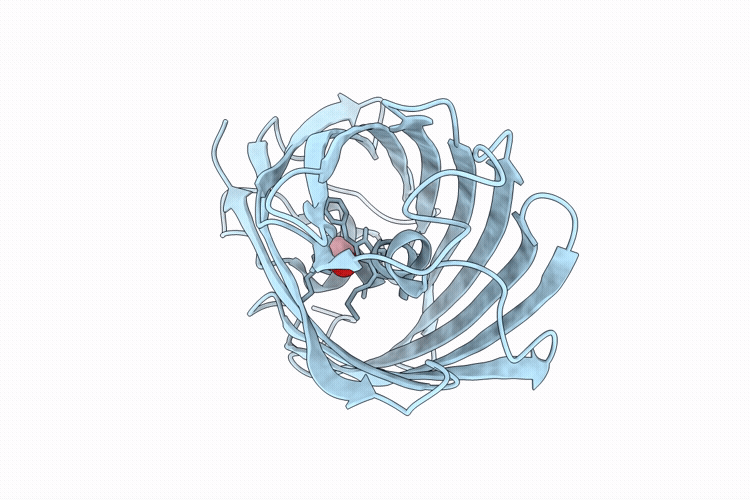 9V5B image