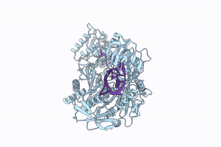 9V66 image