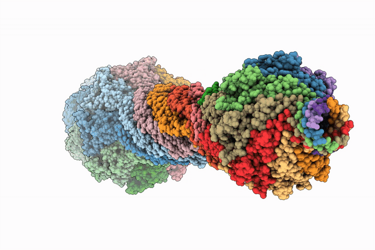 9V75 image