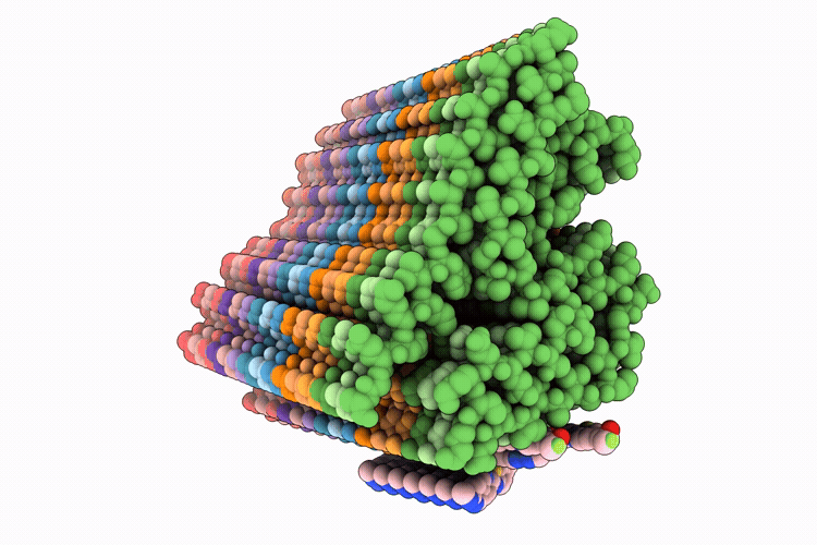 9V7C image