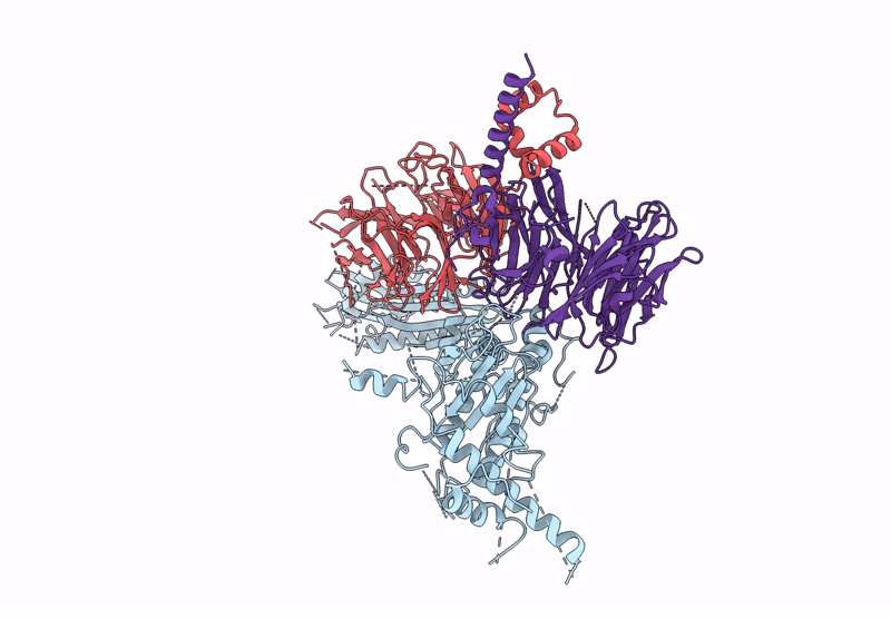 9V80 image