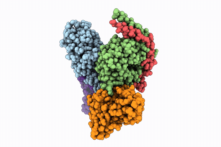 9V81 image