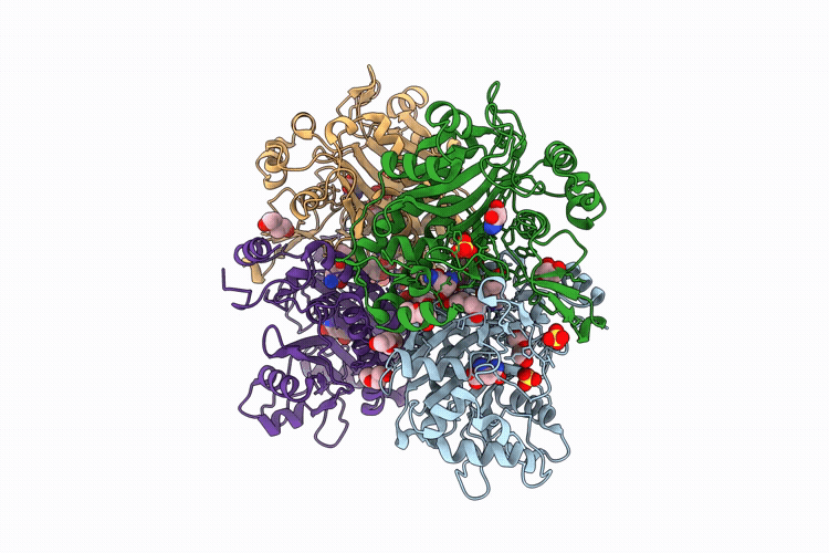 9V83 image