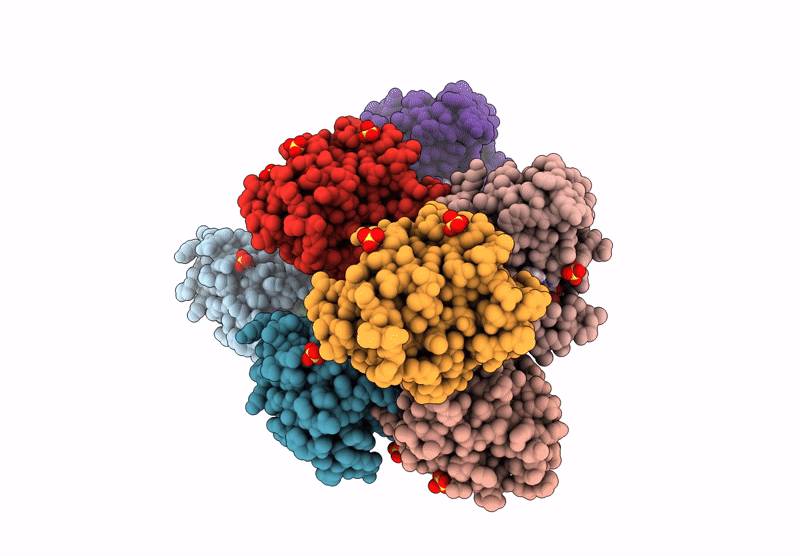 9V84 image