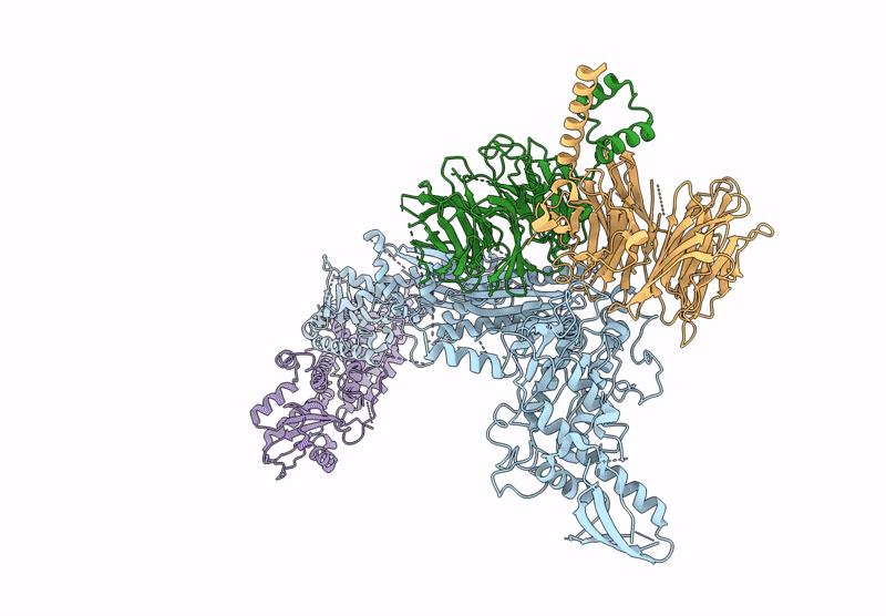 9V86 image