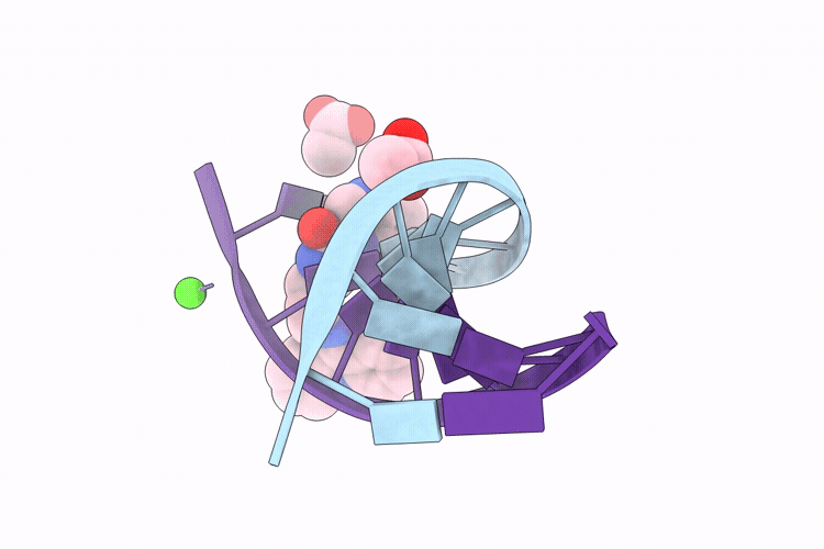 9V88 image