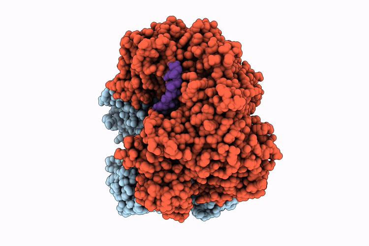 9V8A image
