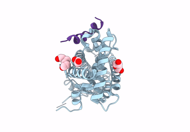 9V8D image