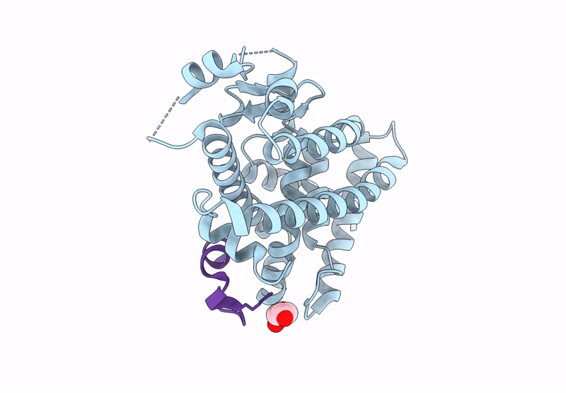 9V8E image