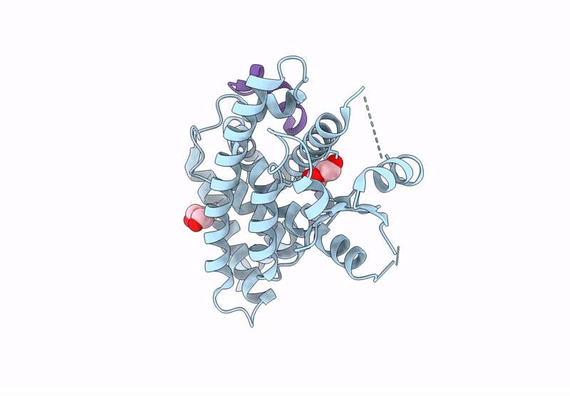 9V8F image
