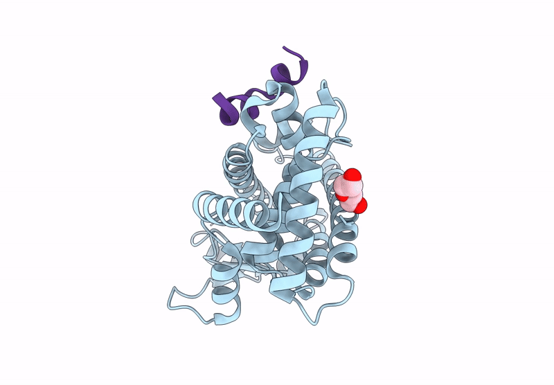 9V8G image