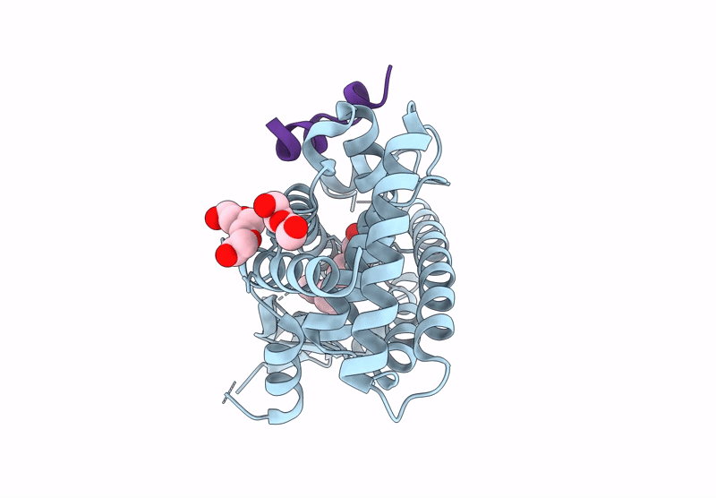 9V8H image