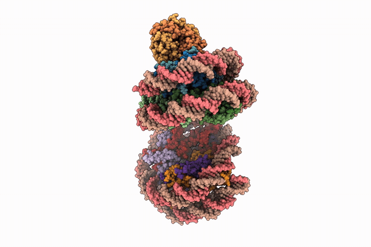 9V8L image