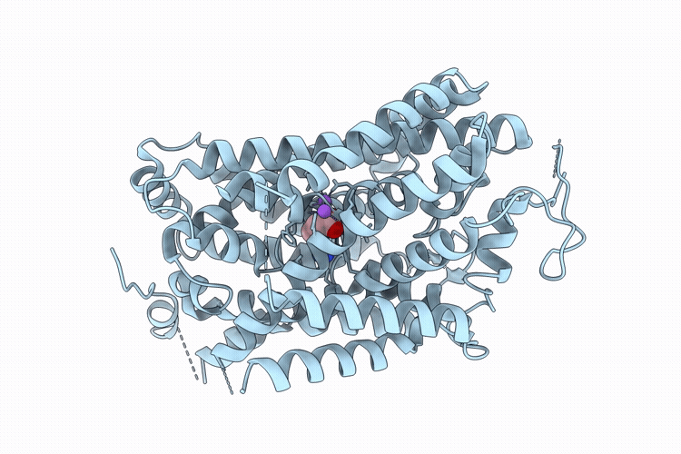 9V8W image