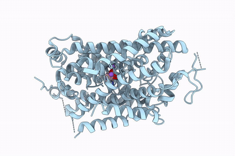 9V8X image