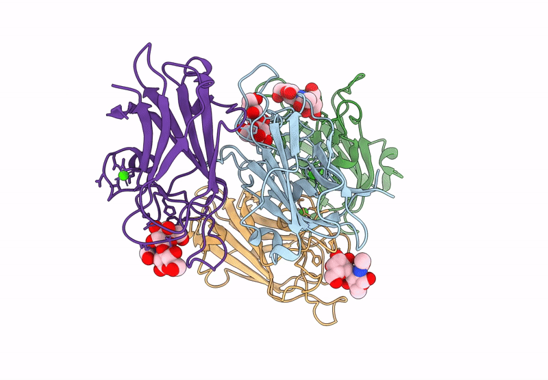 9VAK image