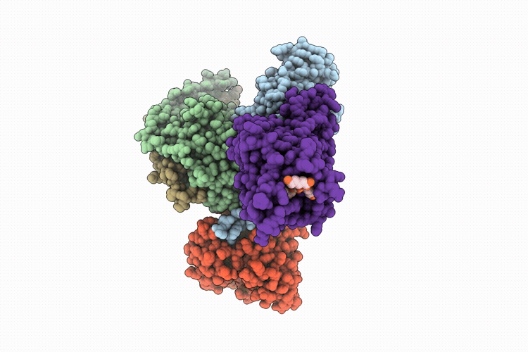 9VAX image