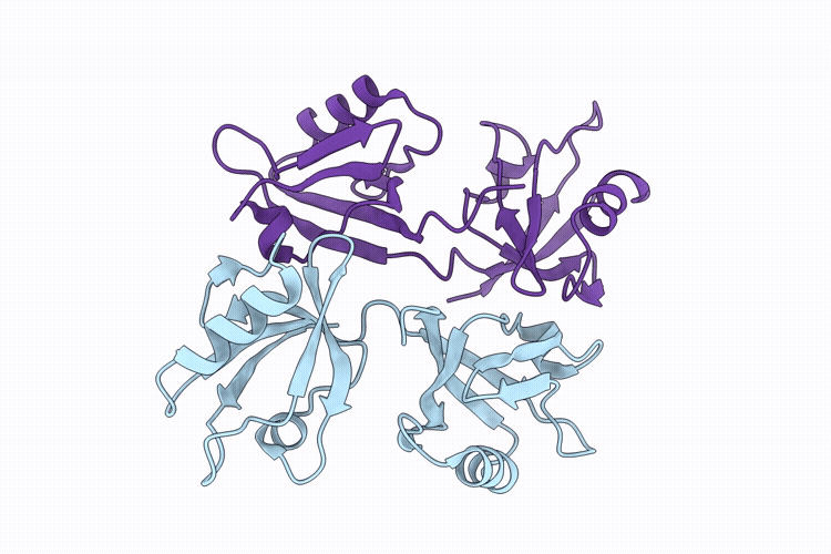 9VB9 image