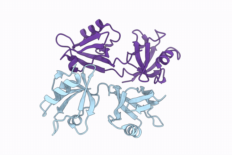 9VBB image