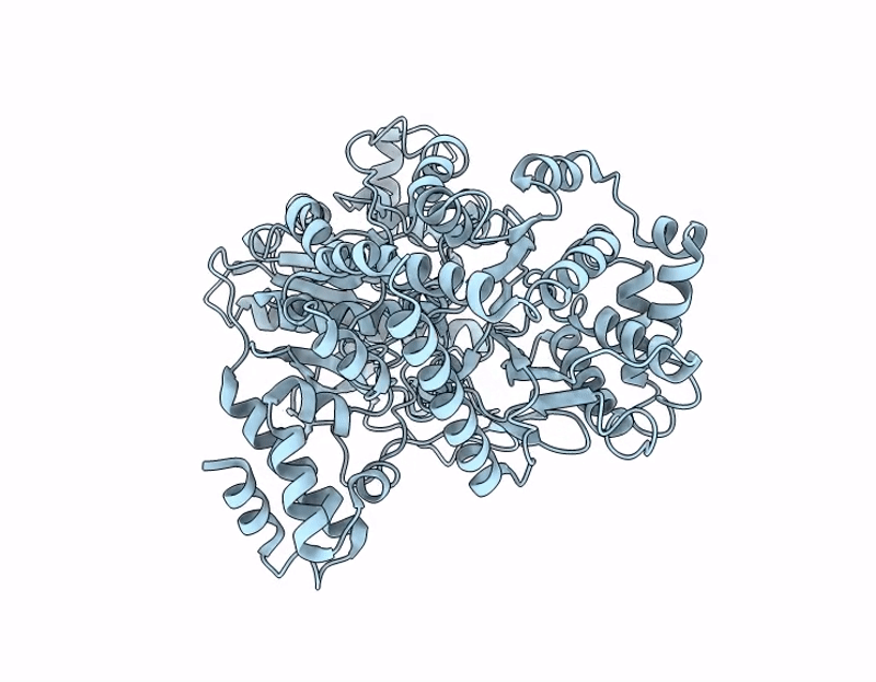 9VBM image