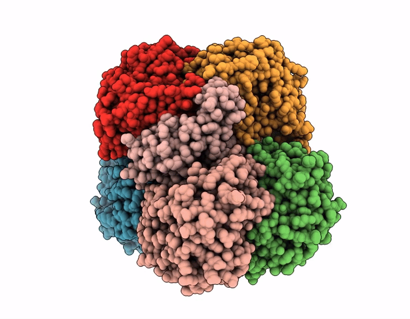 9VBO image