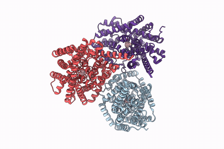9VBP image