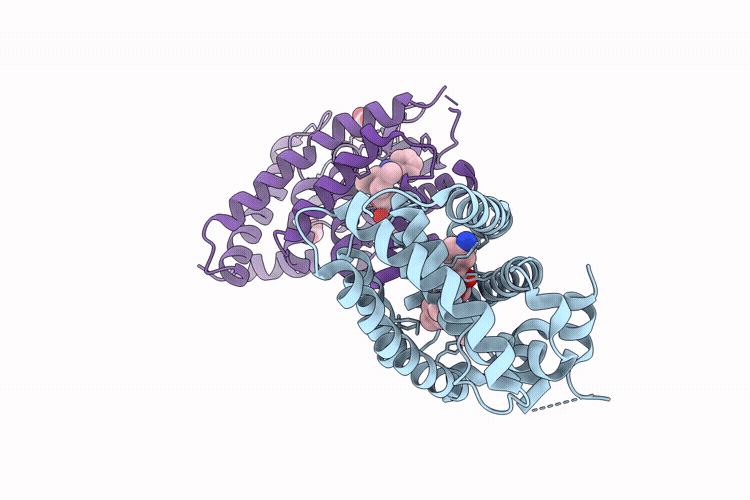 9VBR image