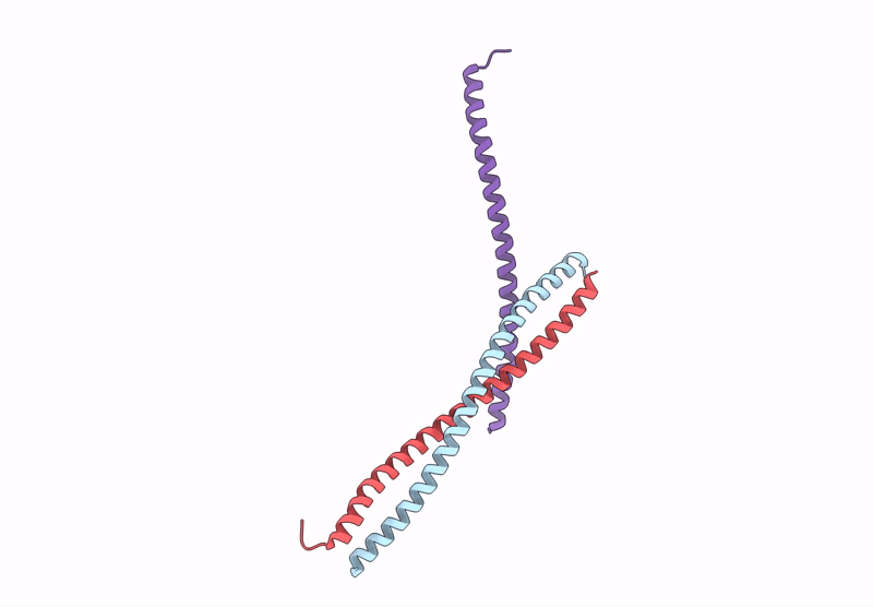 9VBS image