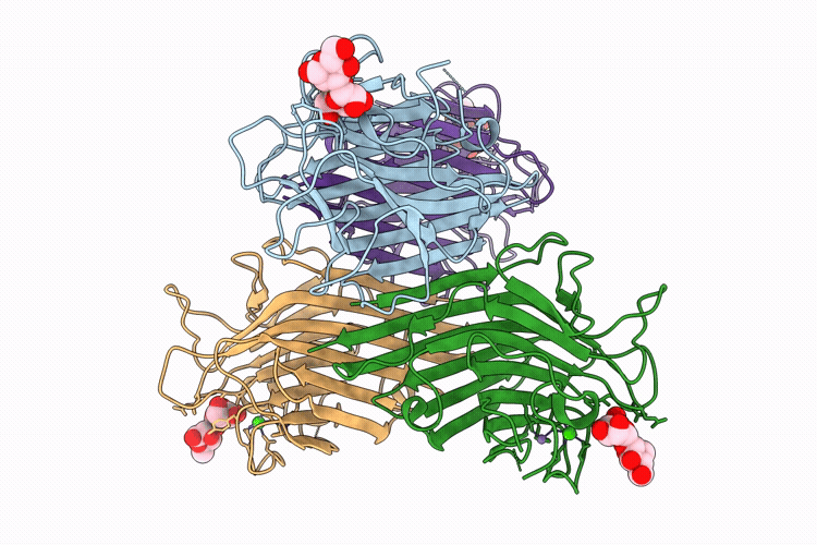 9VC0 image