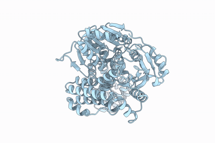 9VC8 image