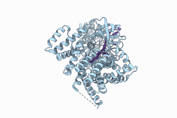 9VCB image