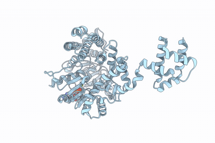 9VCT image