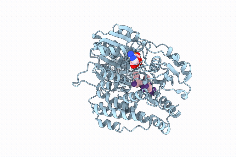 9VD0 image