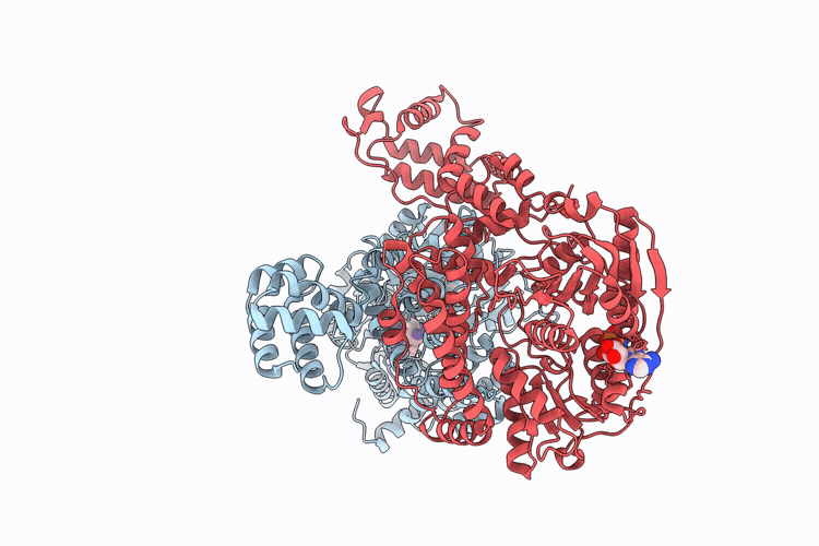 9VD1 image