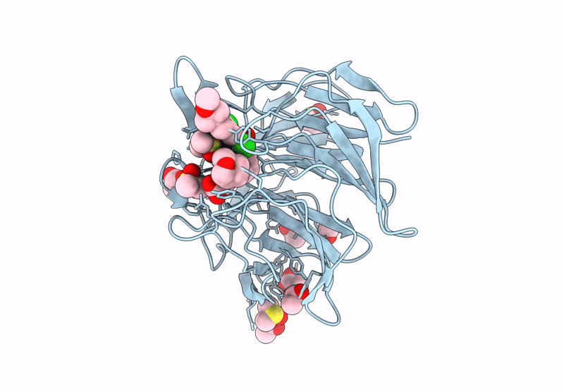 9VD2 image