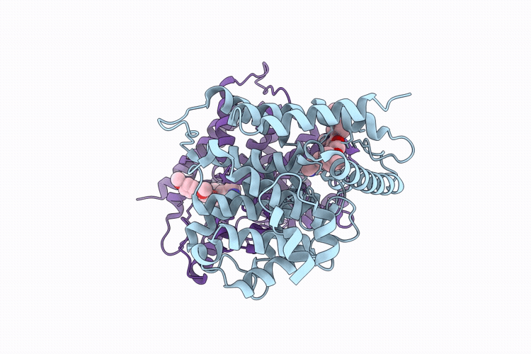 9VDD image