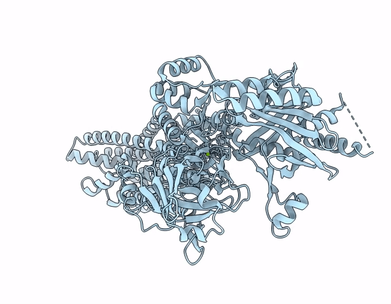 9VDL image