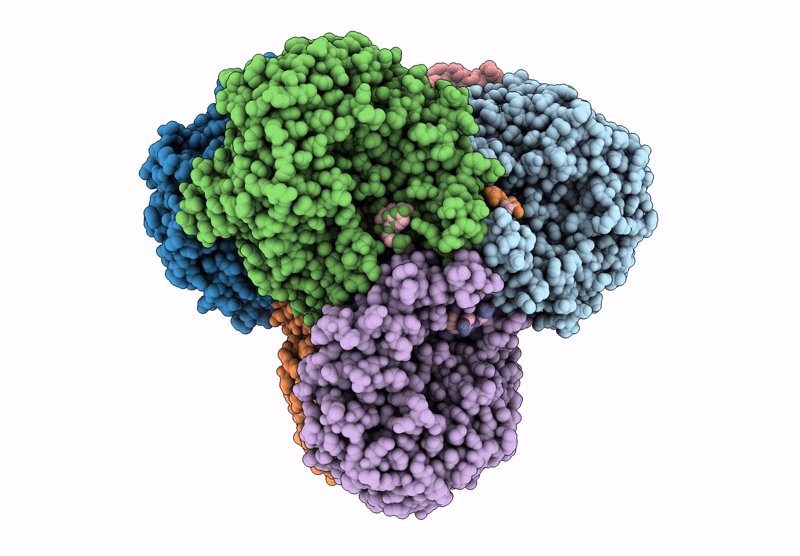 9VDP image