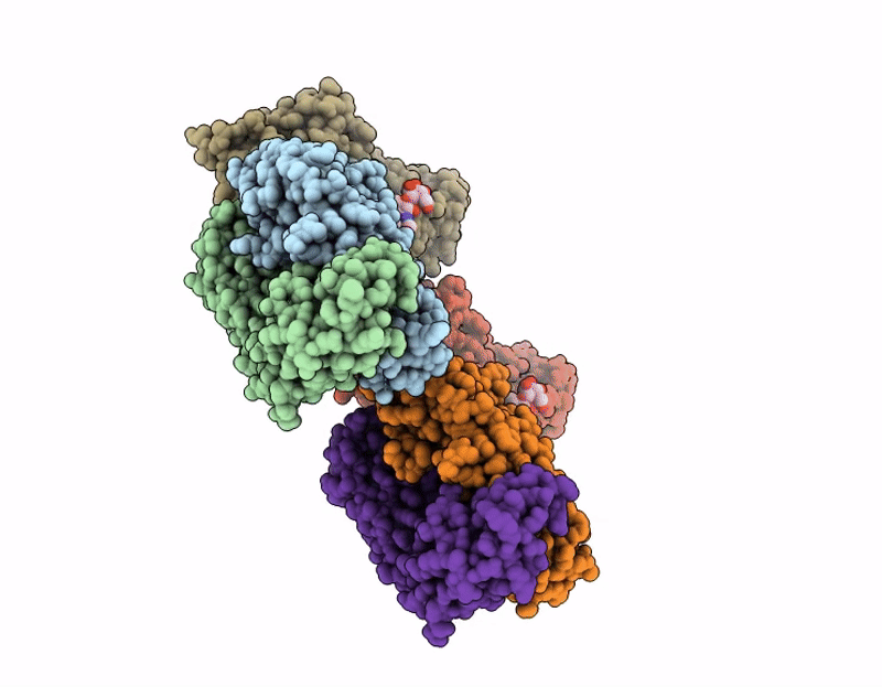 9VDZ image