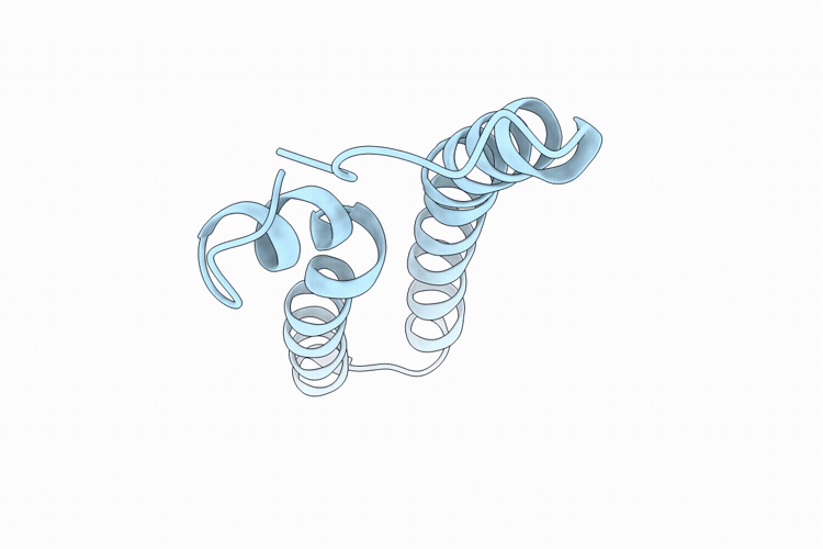 9VF4 image