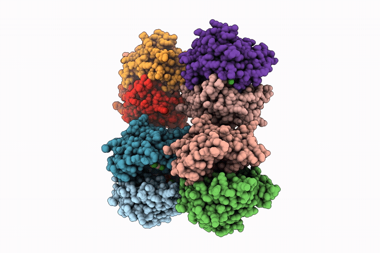 9VF9 image